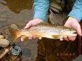 -Kettle Valley-056-